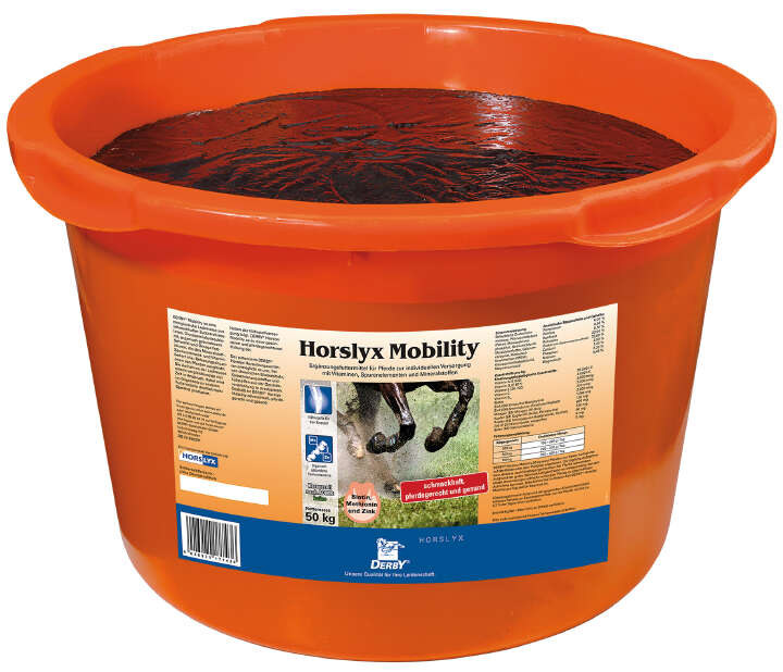 HORSLYX Mobility